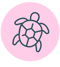 icono tortuga